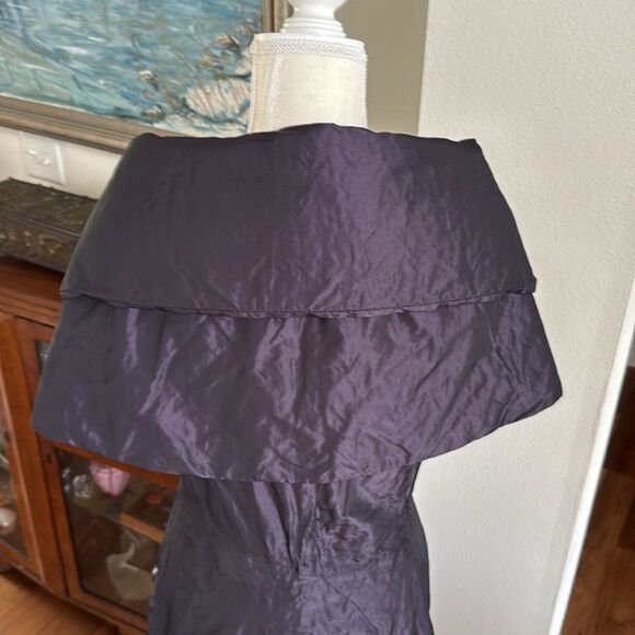 Irene Van Ryn dress & cape - Picture 9 of 11